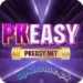 PKEASY GAME