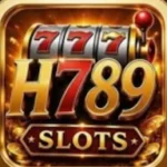 H789 Game