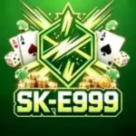 SK-E999